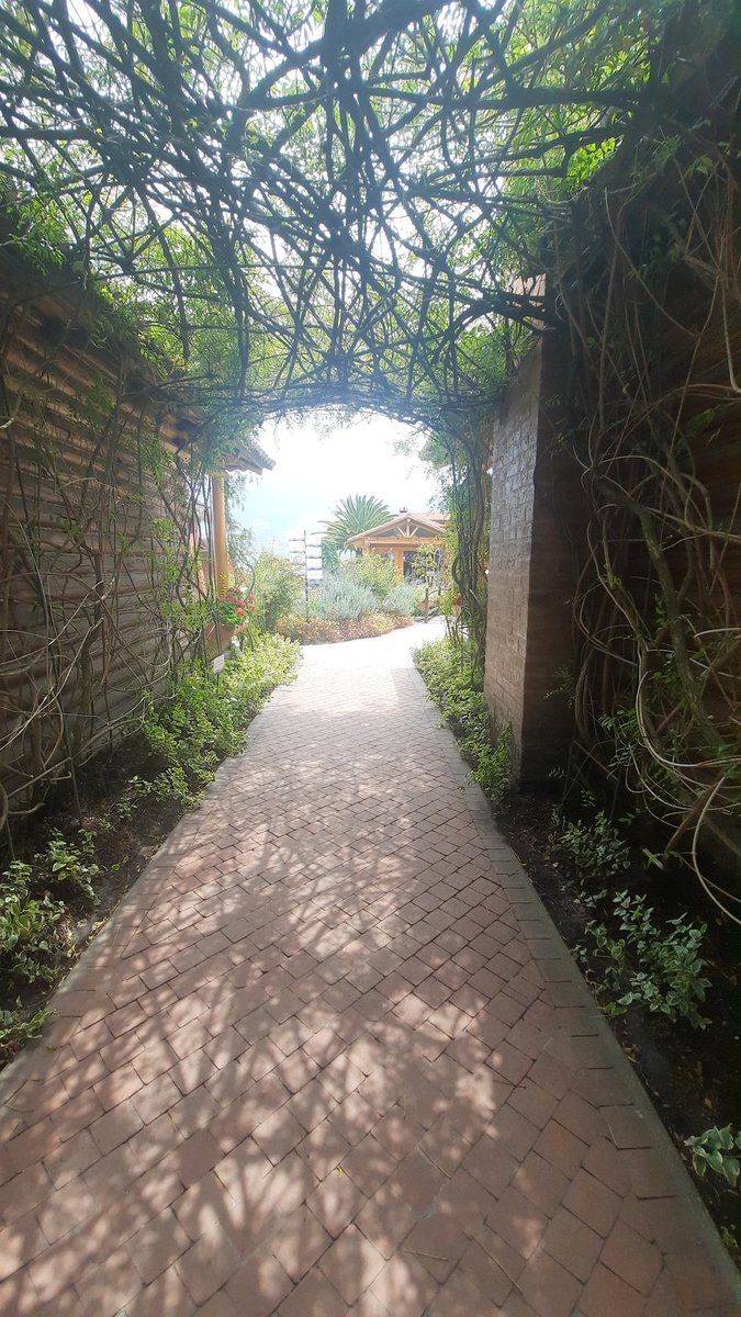 noeyoli's tweet photo. Un camino, una ruta, una vía...
#LagunaSanPablo

#Ecuador tiene diversas opciones por conocer y compartir.
Su gente una mezcla de pasión y cultura https://t.co/Vbz9Wd4a39