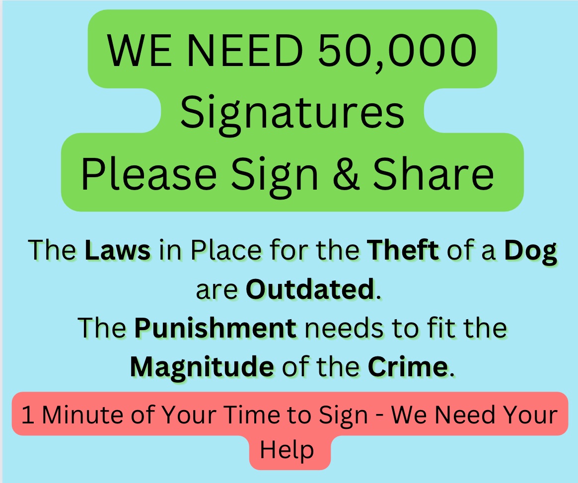 #dogtheftawareness #AdoptDontShop #endpuppyfarming #Ireland #crime #LAW #sign #share #justiceforouranimals #dogs #cats #Petition #pettheftawareness 
Please only a Minute of your Time 🙏
Link below:
chng.it/FDsCf44KQH