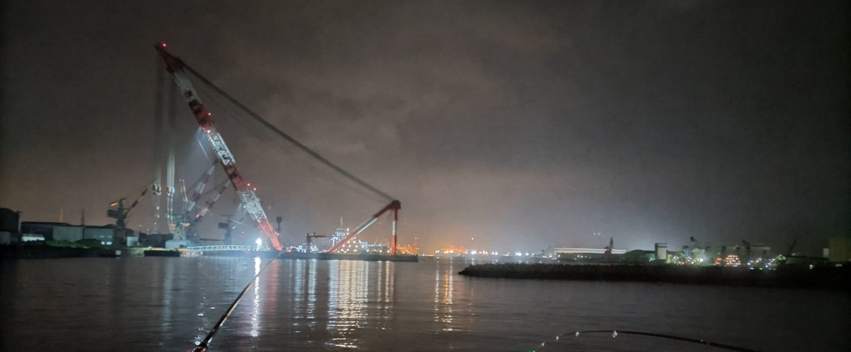 SRR

アジ　11匹

久しぶりの投稿✨
日曜日の夜は人気が無さすぎて少し寂しいですね😅