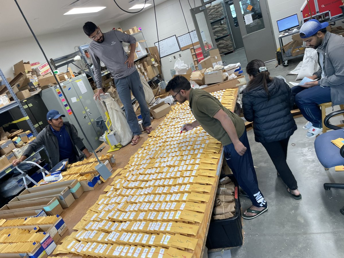 Terrific TeamWheat seed prepping on Super Sunday, F2 is ready to go in ground tomorrow morning #Plant23HRW  Thank you <a href="/jyotihaldersd/">Jyotirmoy Halder</a> <a href="/SainiDK10/">Saini DK</a> <a href="/SubashSDSU/">Subash Thapa</a> <a href="/harsimar_gill/">Harsimardeep Gill</a> <a href="/Anshul__Rana/">anshul rana</a> <a href="/swas_kaushal/">Swas Kaushal</a>