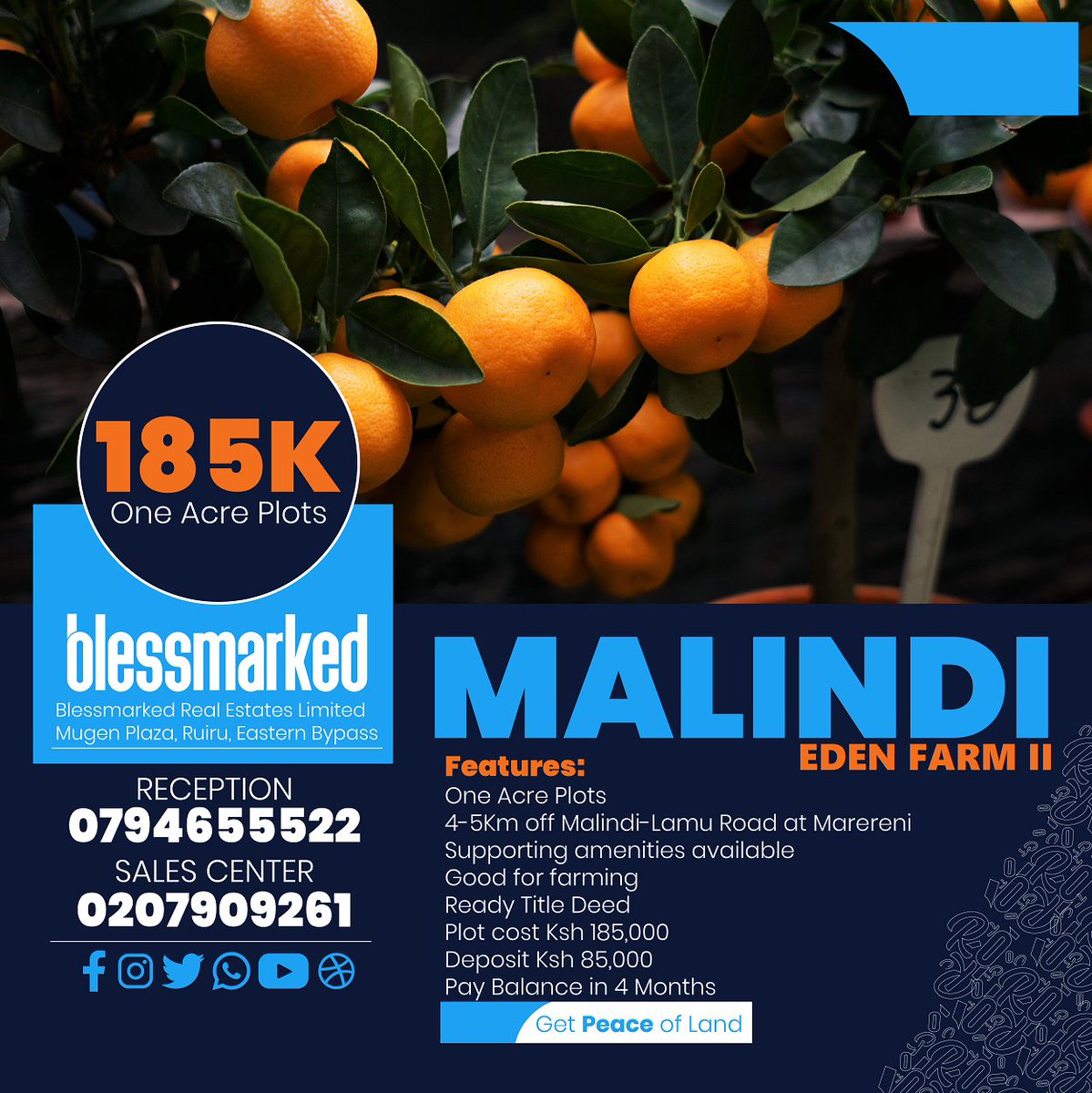 MyPropertyKe's tweet photo. Eden Farm, Malindi. One Acre at 185k. Off Malindi-Lamu Road at Marereni. Project has Title Deed. Deposit 85K, balance in 4 Months. Call  Sales Team on 0794655522 or 0207909261. Click to Call on Internet https://t.co/H3uuMqUZAK (FREE). #Blessmarked #GetPeaceOfLand https://t.co/HNGSCtvILH