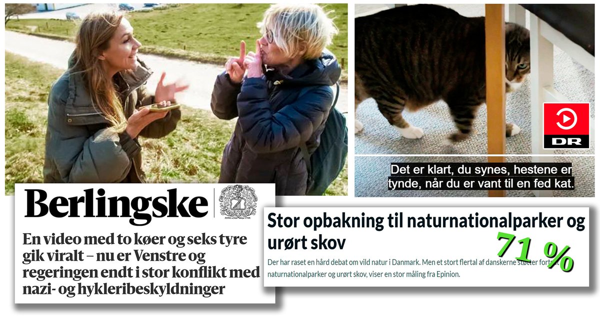 GODT natur-nyt: Berlingske viser, at <a href="/venstredk/">Venstre</a>-modstand mod vild natur er dobbeltmoralsk, og 'dyrevelfærds'-ekstremister rabler om statskonspiration og udstiller sig selv i Signe Moldes episke tv-program — og der er kæmpe opbakning til NATURNATIONALPARKER 🙏🦋🌳🐎🍄🌼🐝🐿️ #dkpol