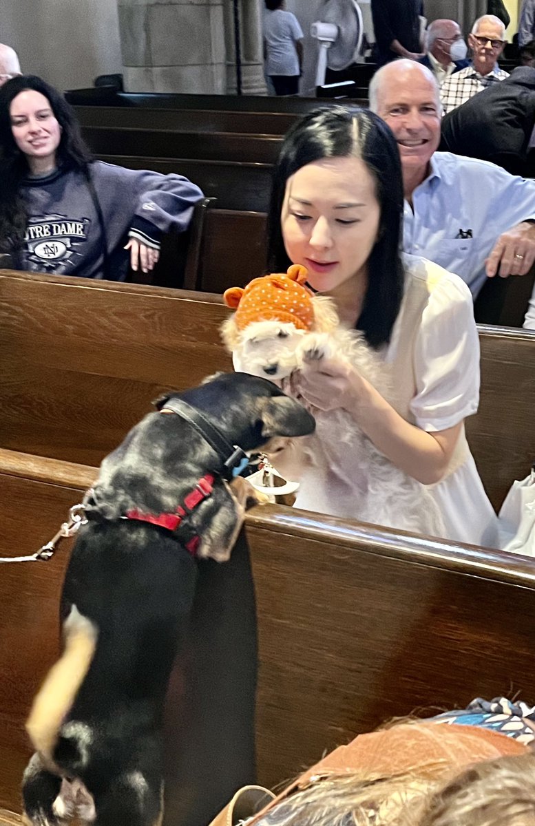 RevKateCress's tweet photo. Fr John Kim ⁦@kaemcJoyGiver⁩, ⁦⁦@RevJonFeuss⁩ and I ❤️ ❤️❤️⁦@StJamesLA⁩ #AnimalBlessing today. We blessed fish, rabbits, MANY dogs &amp; one exceedingly tolerant cat. #AllAreWelcome #StFrancisDay 💕🐕🐇🐈🐟 https://t.co/EoBoDpKpiM