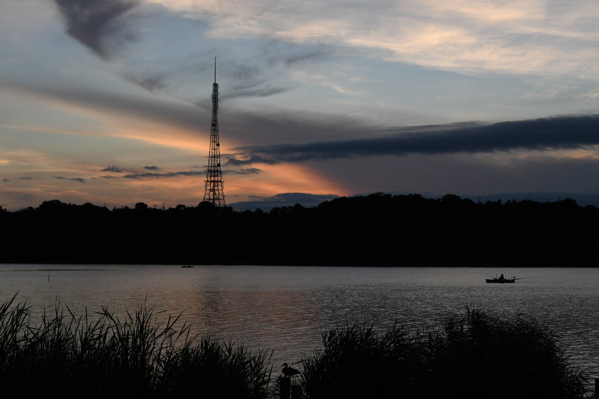 TOSHIMI HIRAYAMA tweet media