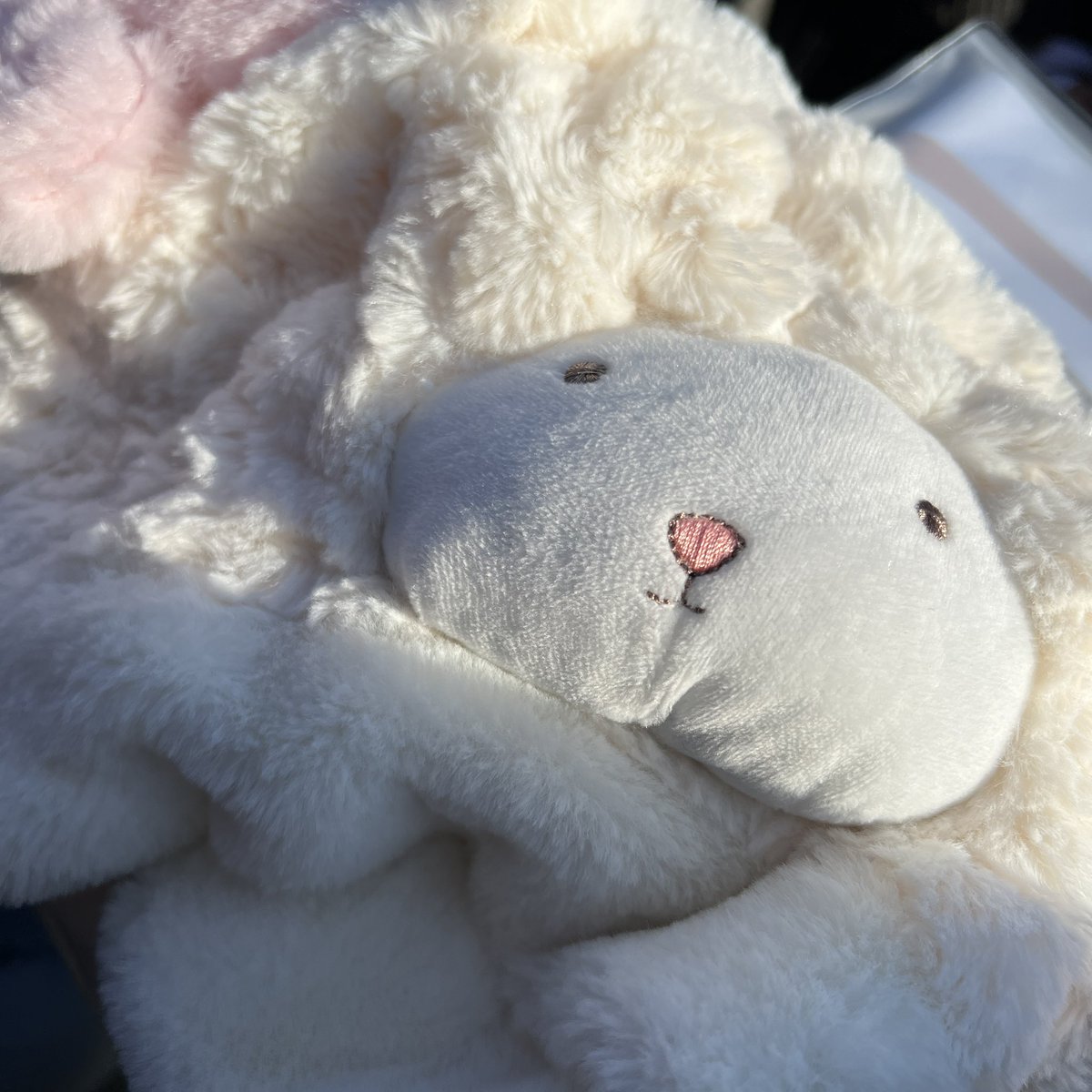LBK0209's tweet photo. 221002  #JUNGWON #정원 
#ENHYPEN  #엔하이픈
🐑🐑🐑 https://t.co/e2cnf3kxto