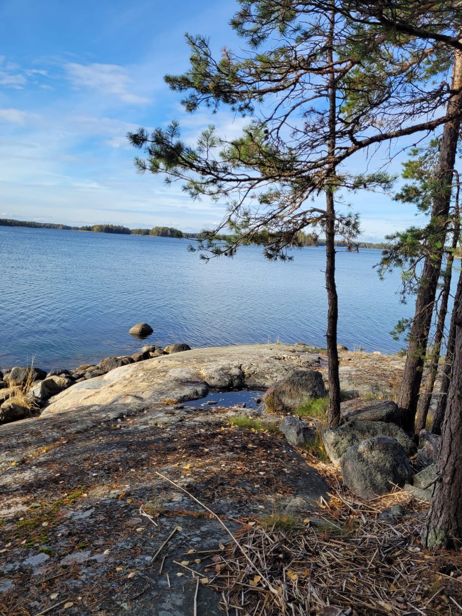 petterin1's tweet photo. #pellinki #pellinge #stuguliv #mökkielämää #cottagelife https://t.co/2bMGVGIEga