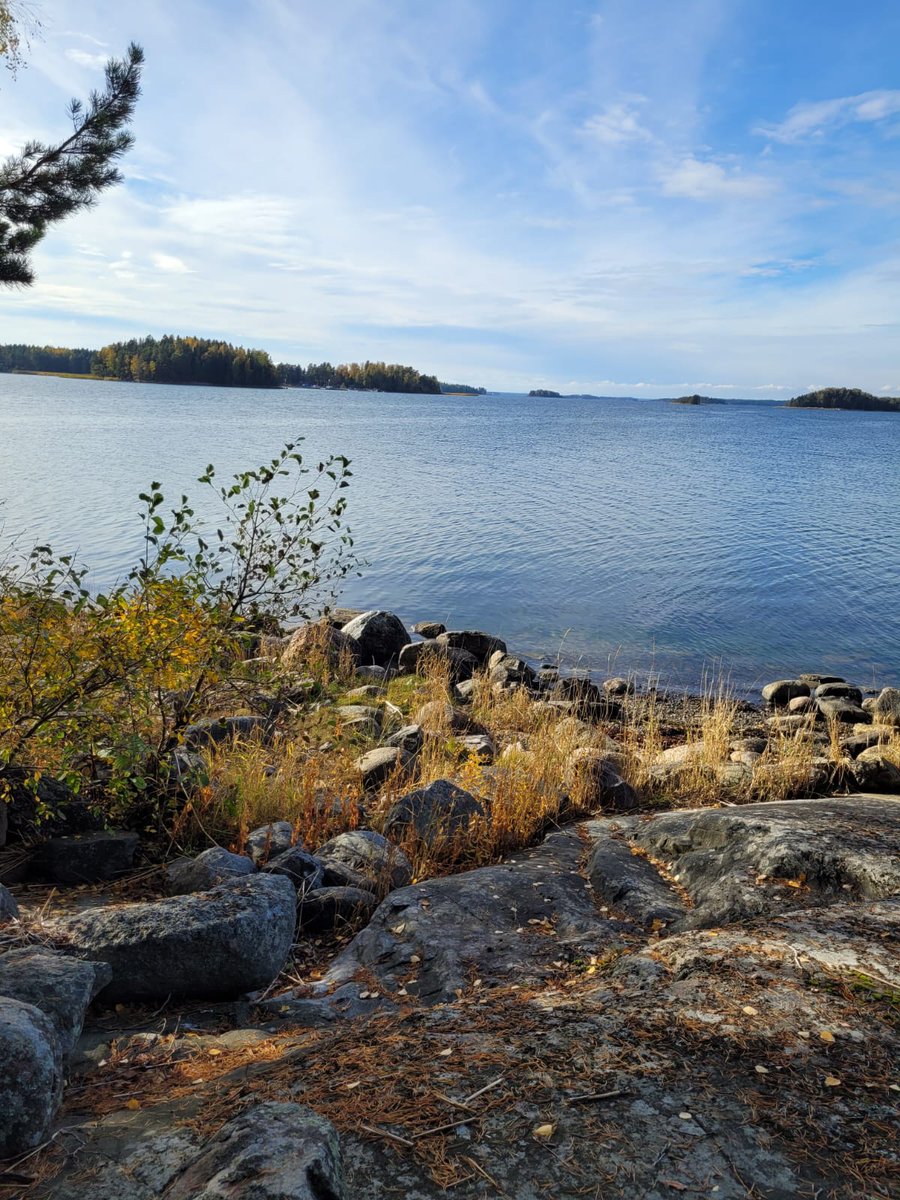 petterin1's tweet photo. #pellinki #pellinge #stuguliv #mökkielämää #cottagelife https://t.co/2bMGVGIEga