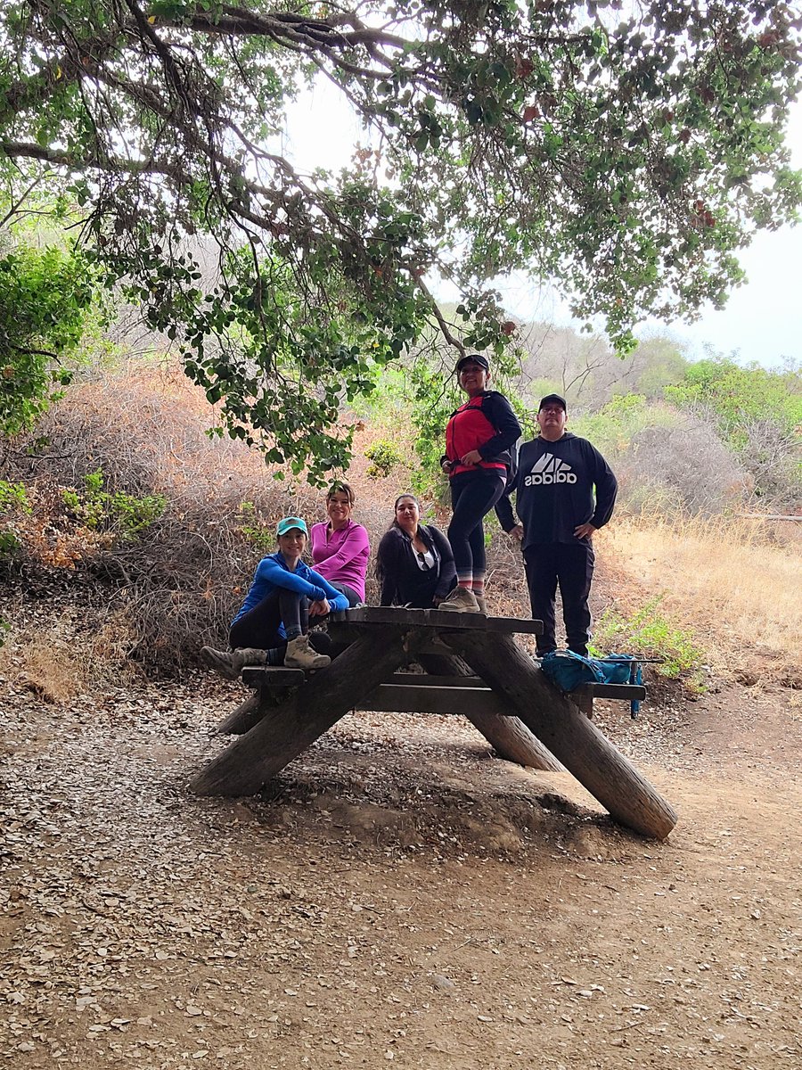 Happy Sunday ⛰️ 
530a and on the trails we go!
#Girls_Stomping_Grounds_Vta #girlsthathike #hike #hiker #views #outdoors #outdoorliving #mountainviews #mountain #mentalhealthawareness #Mentalhealth #ihike #trailsteps #trees #dirtylostandinjured #salvaje #savage #woods #dark