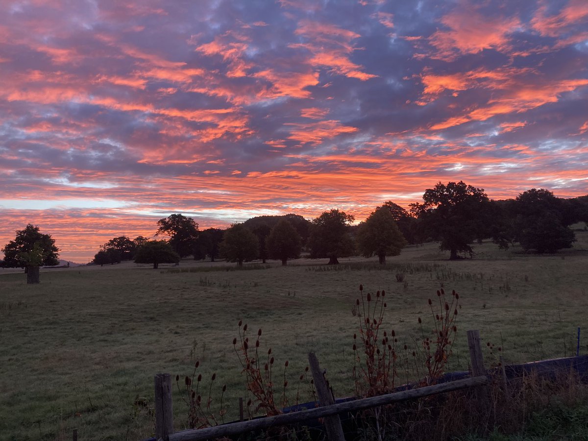 Natalie Booth (@nataliebooth17) on Twitter photo Good morning everyone joining/returning to <a href="/CriminologySpa/">Bath Spa Criminology</a> for Welcome Week <a href="/BathSpaUni/">Bath Spa University</a> Good morning everyone joining/returning to <a href="/CriminologySpa/">Bath Spa Criminology</a> for Welcome Week <a href="/BathSpaUni/">Bath Spa University</a>