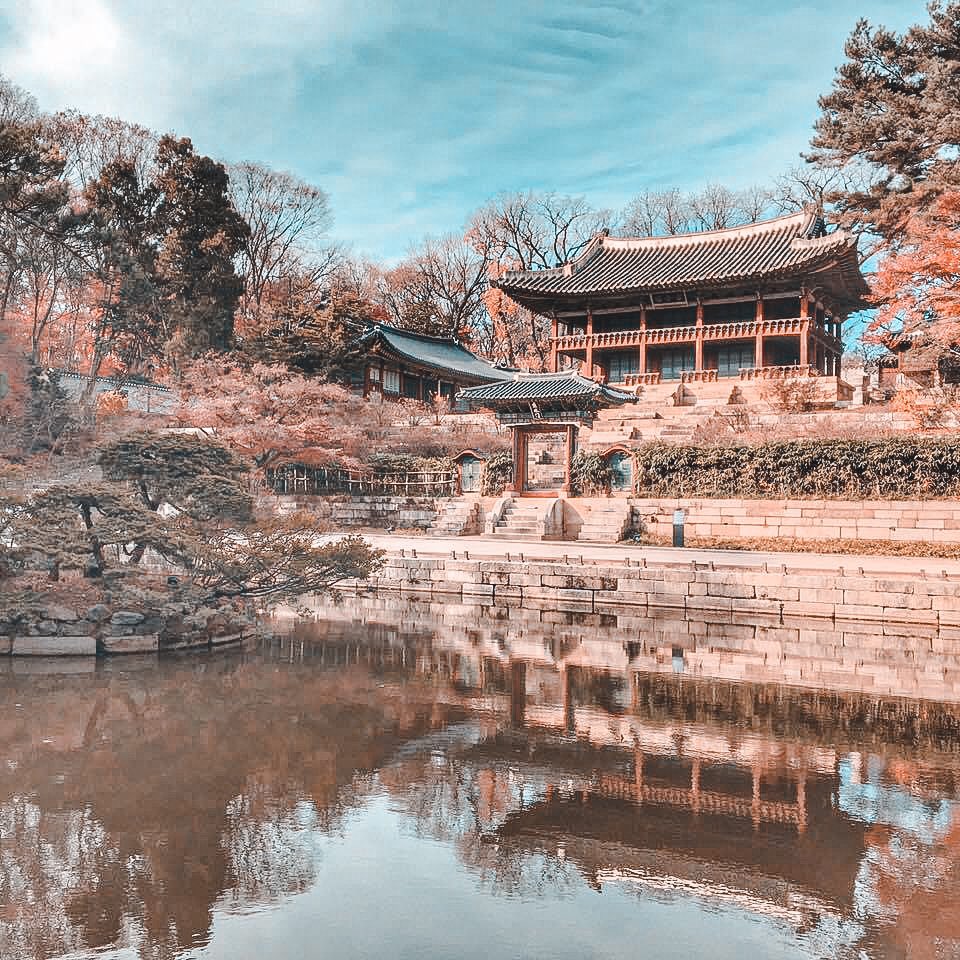 Pogs001's tweet photo. Happy National Foundation day South Korea. ๐๐ฐ๐ท
Below are some photos I took from my trip in Korea last NOV 2016.
#PogsWanders #PogsPhotography }#SouthKorea #SparklingKorea #Seoul #travelgram https://t.co/7XkotefeJb