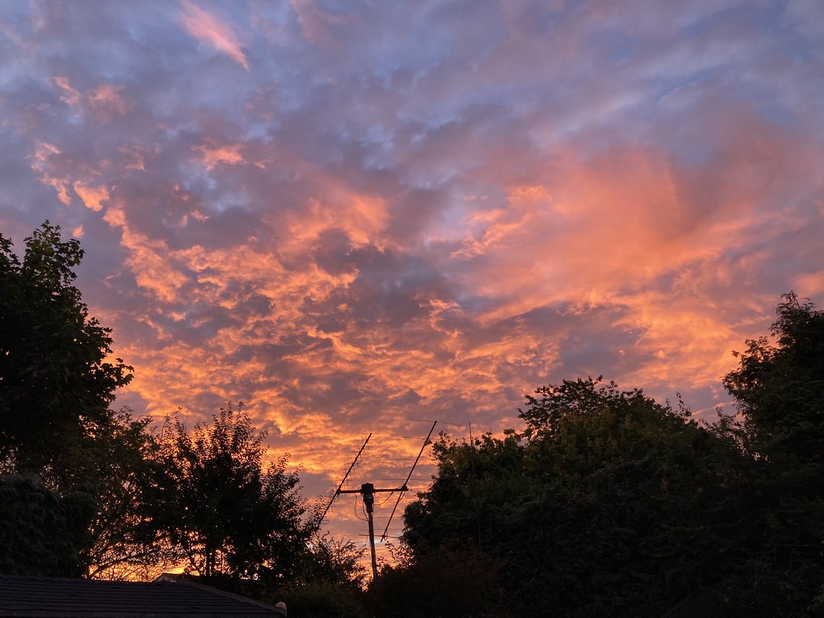 Good morning!