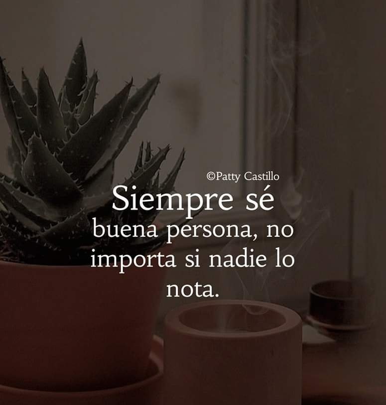 macapumu4384's tweet photo. Buenos días...
#FelizLunes
#FelizInicioDeSemana https://t.co/FyYgcGPklN