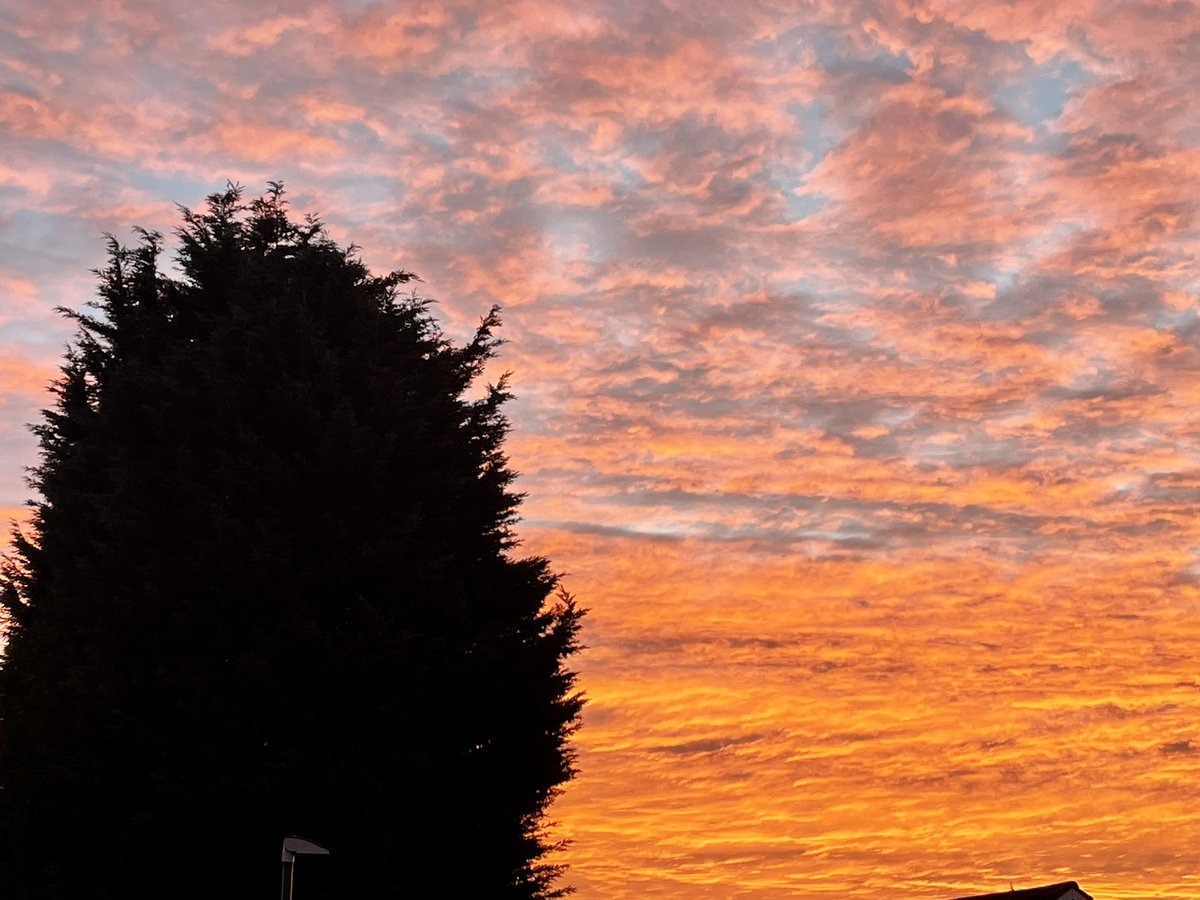 Beautiful sunrise this morning