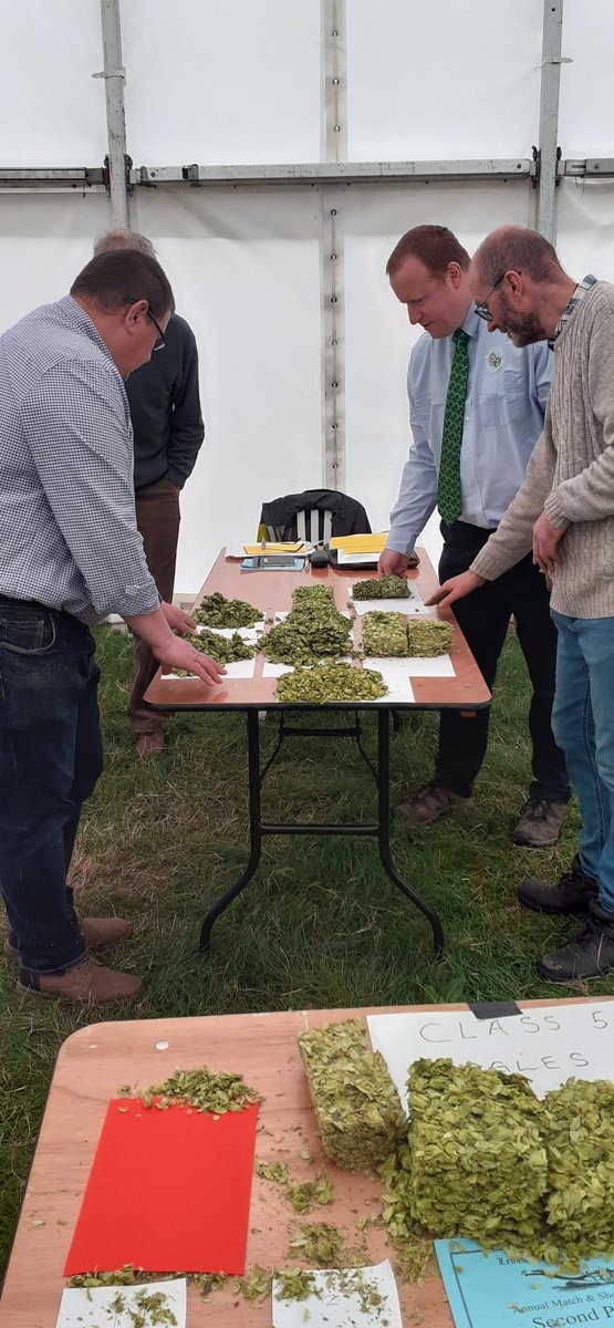 The final job. Choosing the champion sample and reserve. Thank you @FaramWill @CEnd_brewmaster @bewdleybrewery1 for giving up your sunday. To support the Ledbury ploughing society, and of course British hops.
