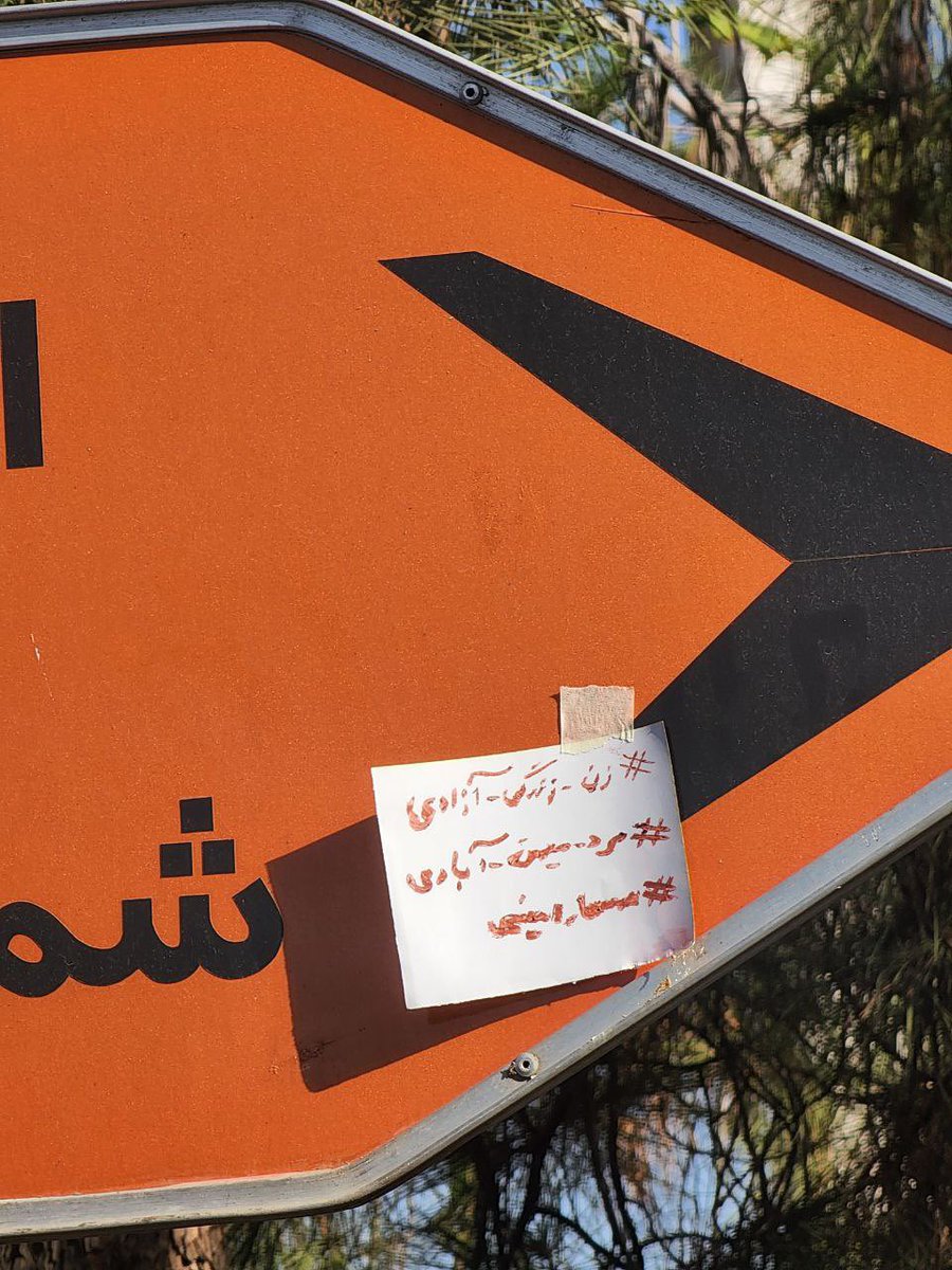 امروز روی تابلو هشتگا رو زده بودن و یه خانوم بچ اومد کندتش من و دوستمم با رژ و ورقه دوباره نوشتیمش و جلوی چشم خودش چسبوندیمش و بهش فاک نشون دادم!! خاستم از همینجا بگم ببین بیبی سر همین ی تیکه کاغذم نمیزاریم دیگه جلومونو بگیرین! #مهسا_امینی #OpIran #MahsaAmini