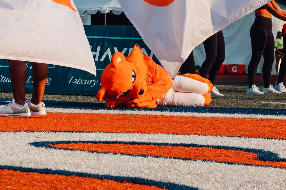 Sam Houston Athletics tweet media
