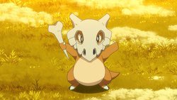 cubone wears its mask as a helmet!