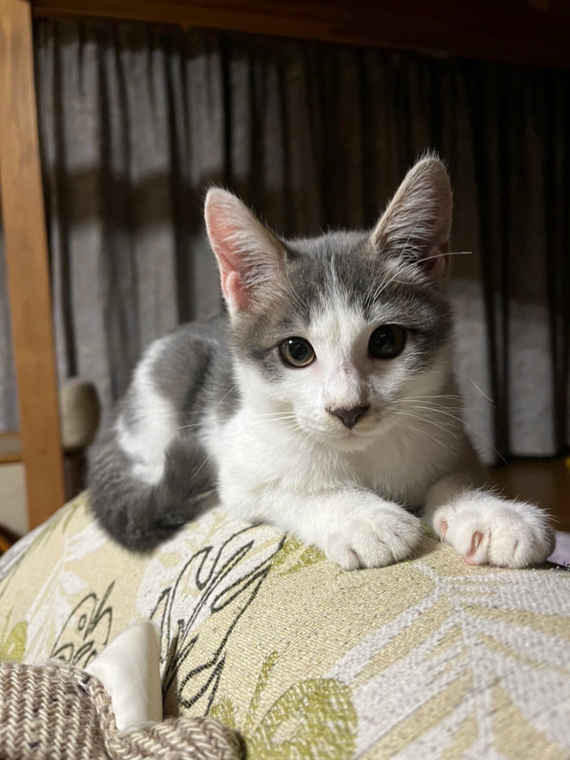 渡辺コウジ on Twitter