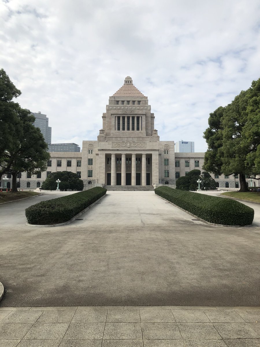 igararam's tweet photo. コーンの配列は大事らしい https://t.co/yQnsWDcp0t