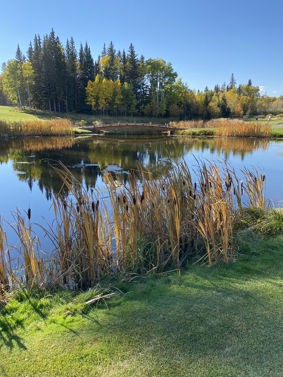 KentPrete72's tweet image. Another perfect fall day! @PriddisGreens @PGTurfCare