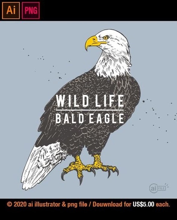 ai_file's tweet photo. Standing Bald Eagle / Drawing
Designed by ROJIAS
Product ID: 100-0056
・
https://t.co/NWC7zBGqNg
・
#baldeagle #eagle #eagledrawing #eagleillustration #eagleclipart #eaglevector
・
・
#ai_file #illustration #illustrator #artwork #art #design #logo #creative #graphic #sketch #dr… https://t.co/eGAoe0w7ZS