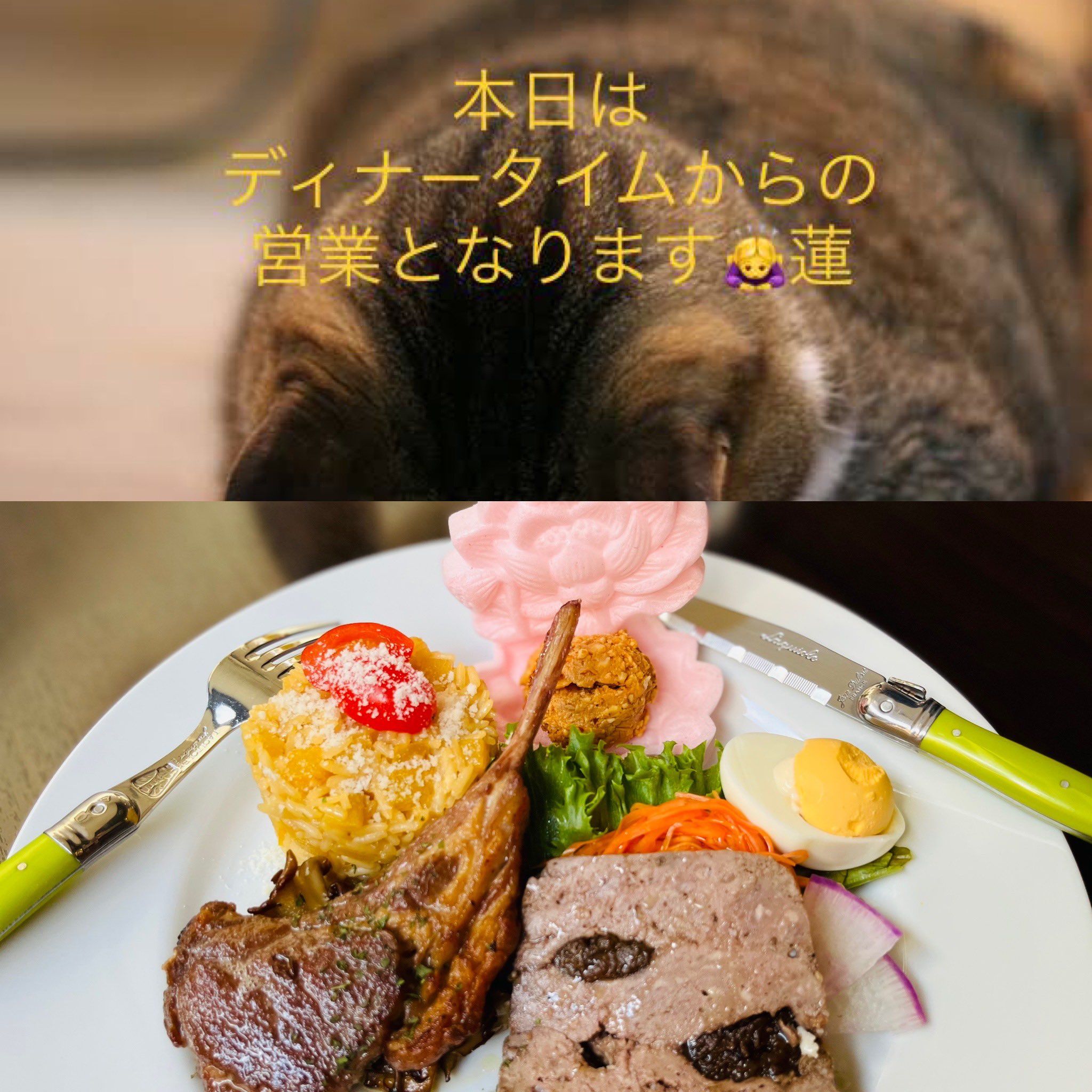 3bh 0u9k9sazlm