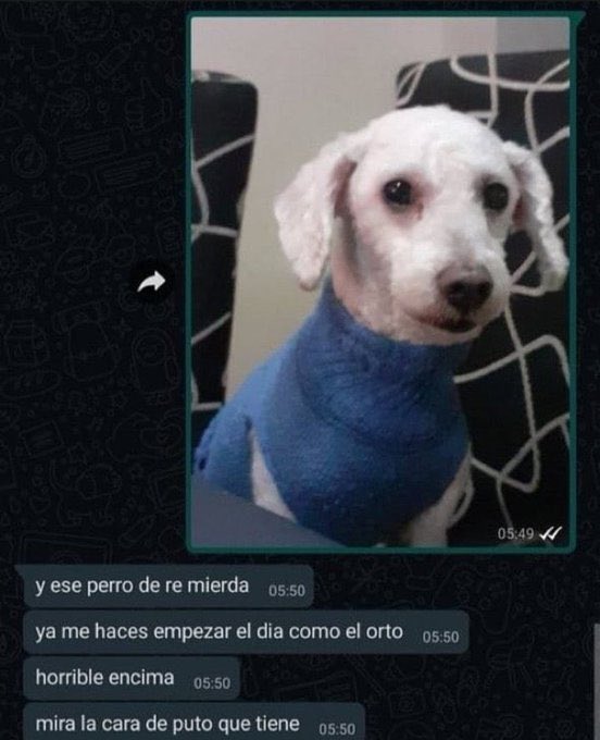 quiero reactivar la cuenta pero NO ME ACUERDO DE LA CONTRA DEL CC