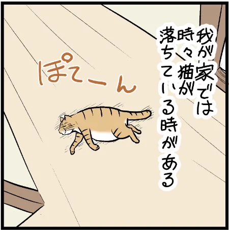 我が家で発見された落とし物の運命・・・ #ニャンコ #まんが #猫 #猫あるある #猫漫画 #ペット #飼い主 #エッセイ漫画 #キャット #猫のいる暮らし 