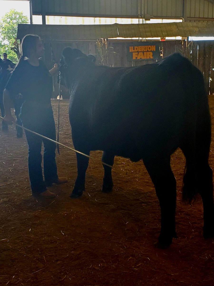 Thank you to the small army who make the Ilderton Fair &amp; Beef Market Sale a big success &amp; for supporting youth in Agriculture. Very big Thank You to <a href="/RyanKennes/">Ryan Kennes</a> North Middlesex Seed Solutions, Adam Smith Plumbing &amp; <a href="/AXIOMMutual/">AXIOMMutual</a> Strathroy, for purchasing the kids' cattle this year