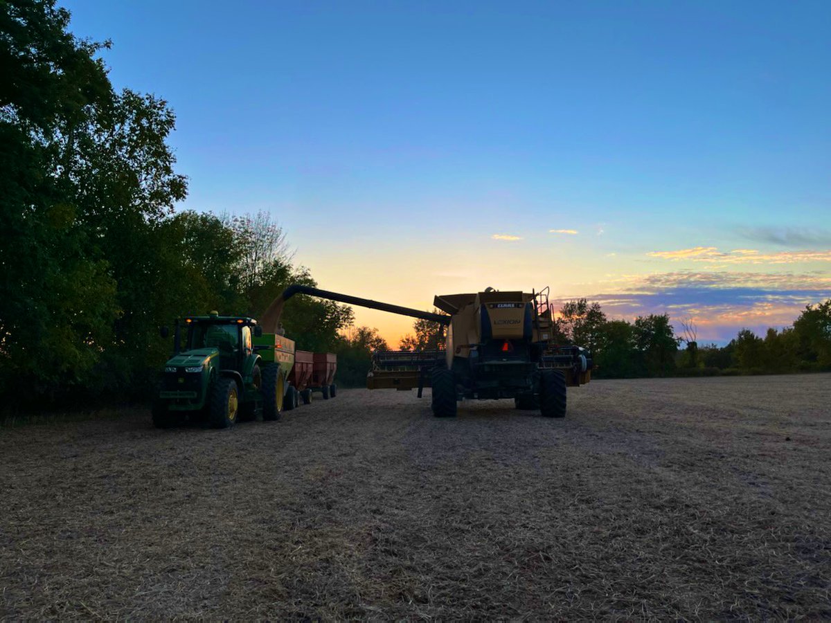 Ross Bender tweet media