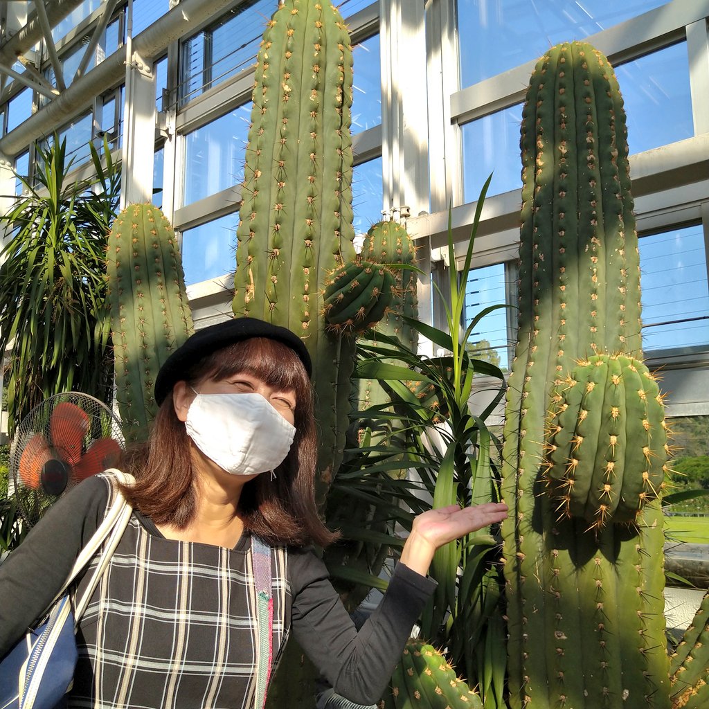 Mayumi3bi's tweet photo. 10/2 diary2神代植物公園でthe paselinesのアー写撮影❣️録音はこれからなのにね😆どんなアー写かお楽しみにしててくださいね!
#thepaselines
#パセリンズ
#神代植物公園 https://t.co/guipCwdVBT