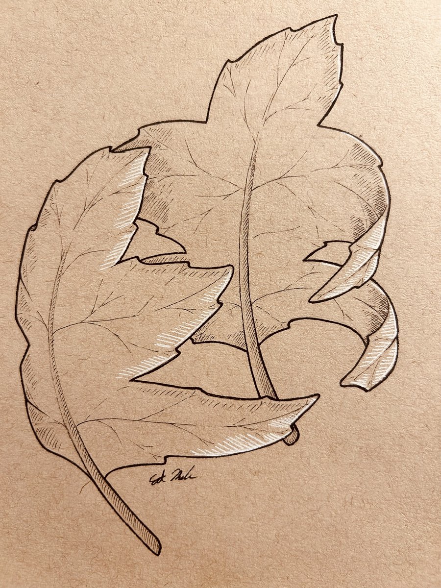 DamunchTheThird's tweet photo. Don’t know if I’d call it finished but if I fiddle with it more it will probably fall apart

#Penandink https://t.co/9zk0SRTKdn