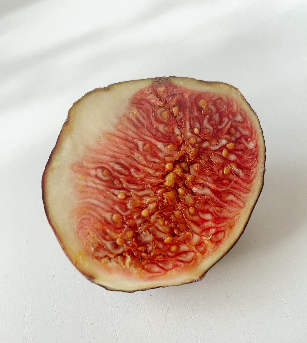 Julia Zilbert tweet media