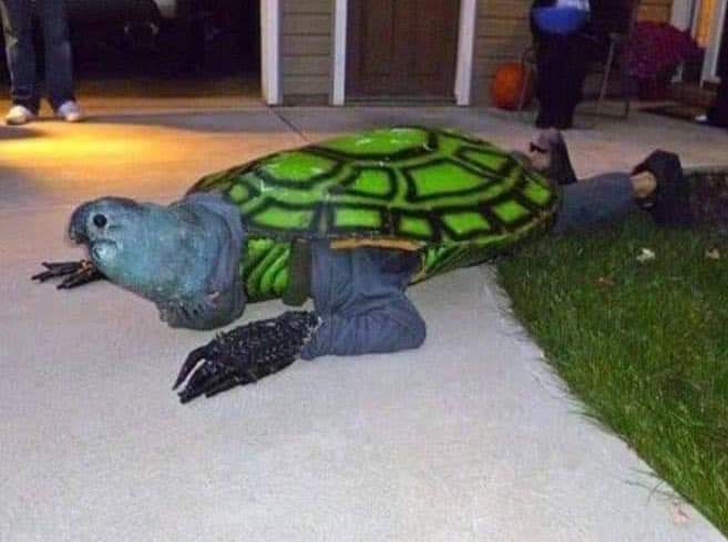 BenditoVerde420's tweet photo. -Wey se canceló la fiesta de Halloween 

Yo: https://t.co/Kunr1zG3SM