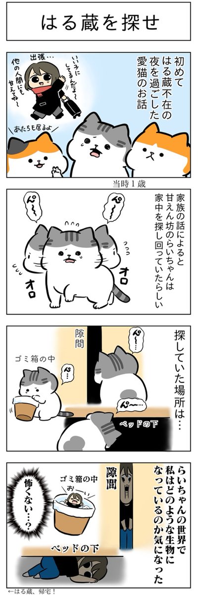 はる蔵を探せ・再会│フェリシモ猫部 https://t.co/3fjRAOKBGA 