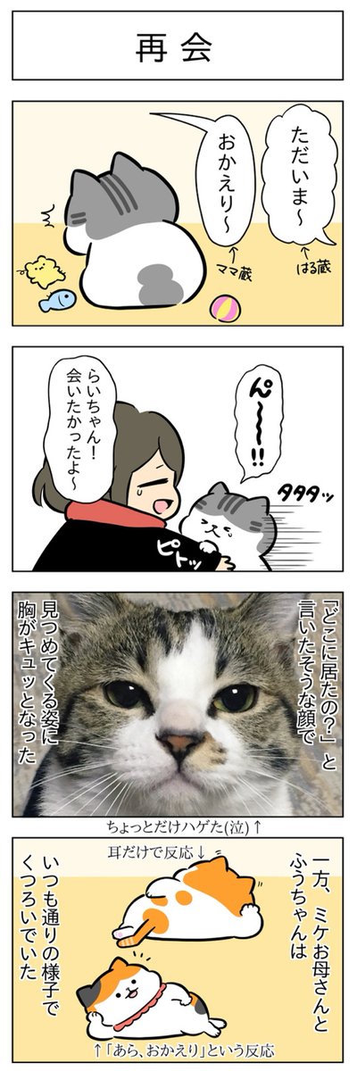はる蔵を探せ・再会│フェリシモ猫部 https://t.co/3fjRAOKBGA 