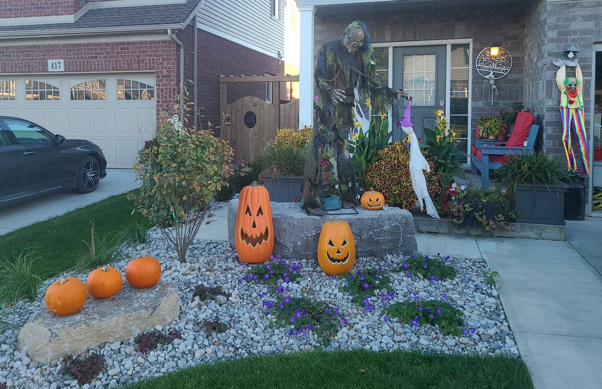The Haywoods' would like to welcome Mr.Bog Zombie to our 22' Home Halloween Display Team. 1st recruit from new head talent scout Morgan Haywood -our daughter. Not being-able-to-let-go (forced retirement) former - head talent scout, me, assisted with 3 vintage pumpkin decorations!