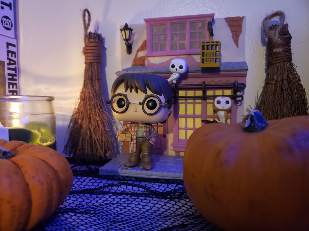 paintingwithsai's tweet image. &quot;You&apos;re a wizard harry&quot; from harry potter  #funkophotoadaychallange Flannel #funko