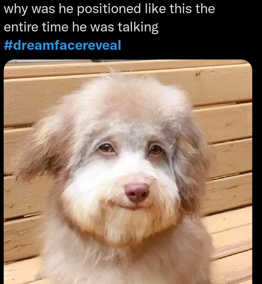 butter_echo's tweet photo. Some of the posts are funny and  harmless like the attached images...but the rest.. phew https://t.co/4tSEHeQ59B