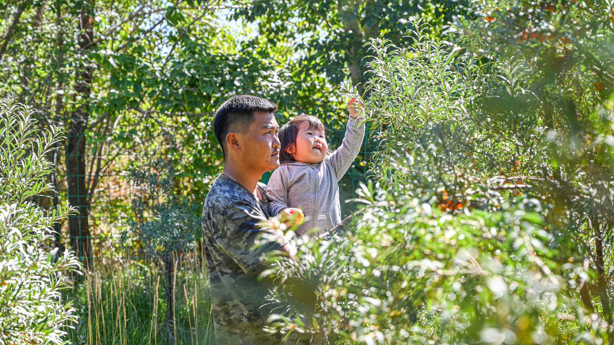 Jack Board tweet media