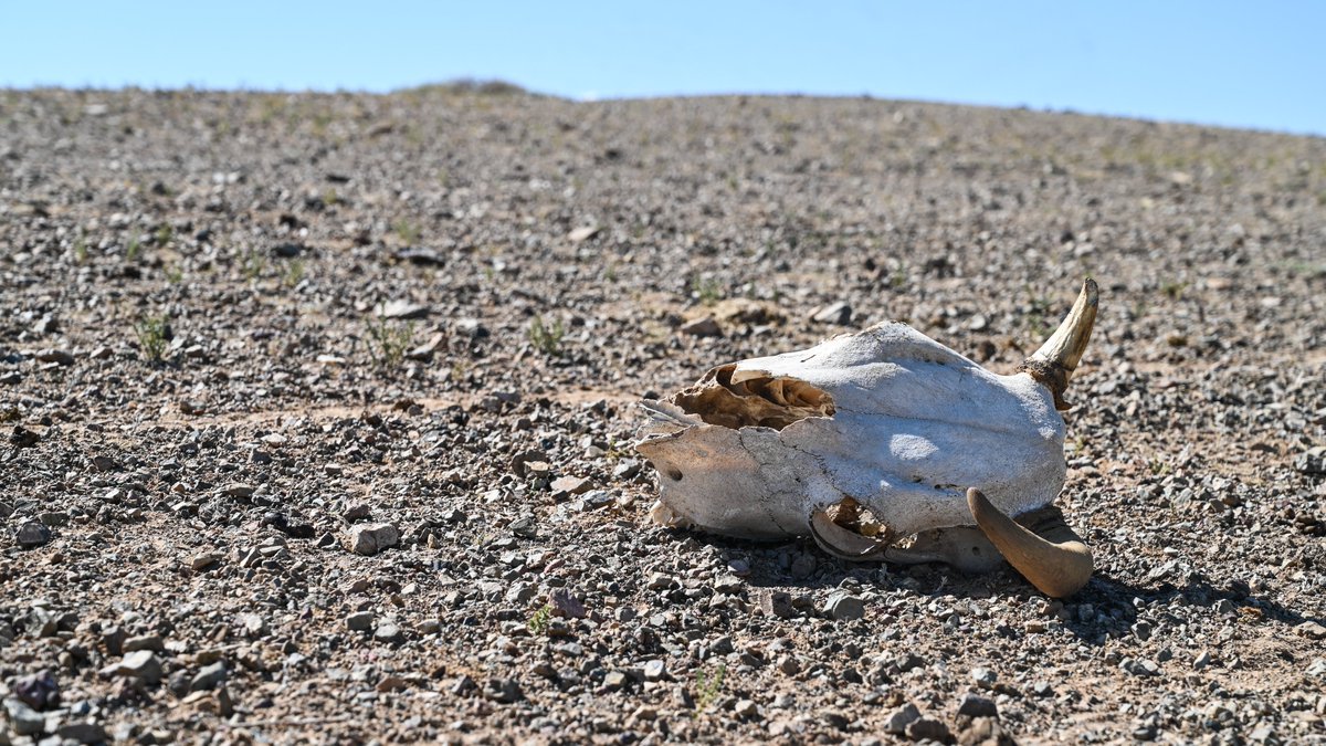 Jack Board tweet media