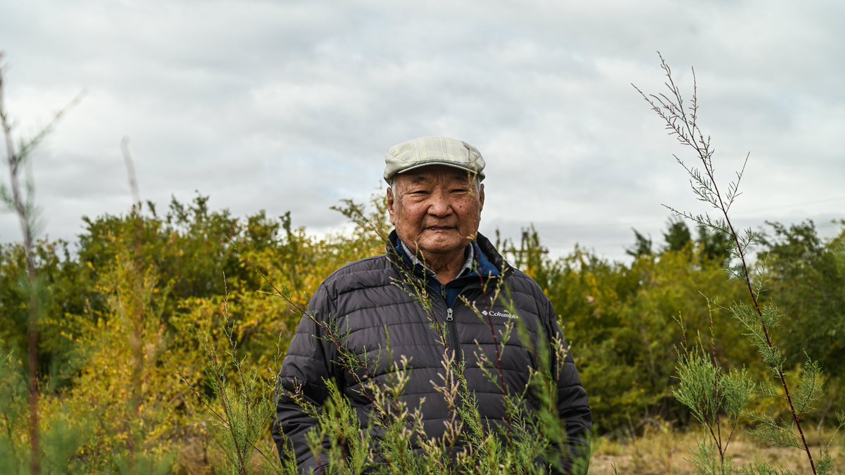 Jack Board tweet media