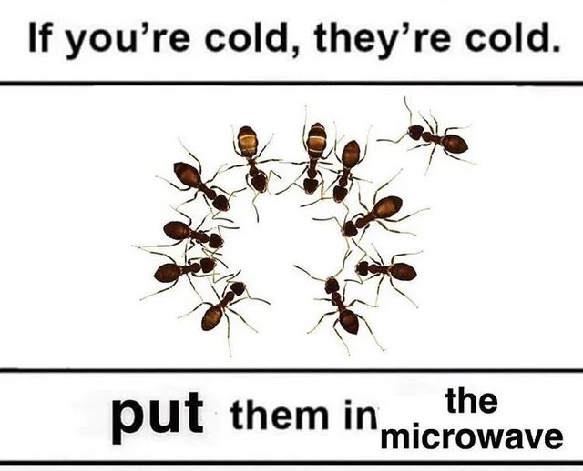termite69696969's tweet photo. Think of the ants 🙏 https://t.co/lW1XpBe8Aa