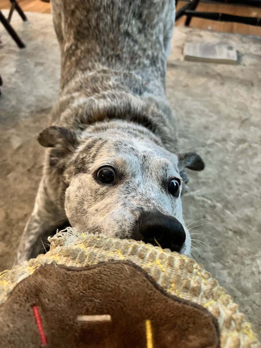 Emma Maher Wetherbee tweet media