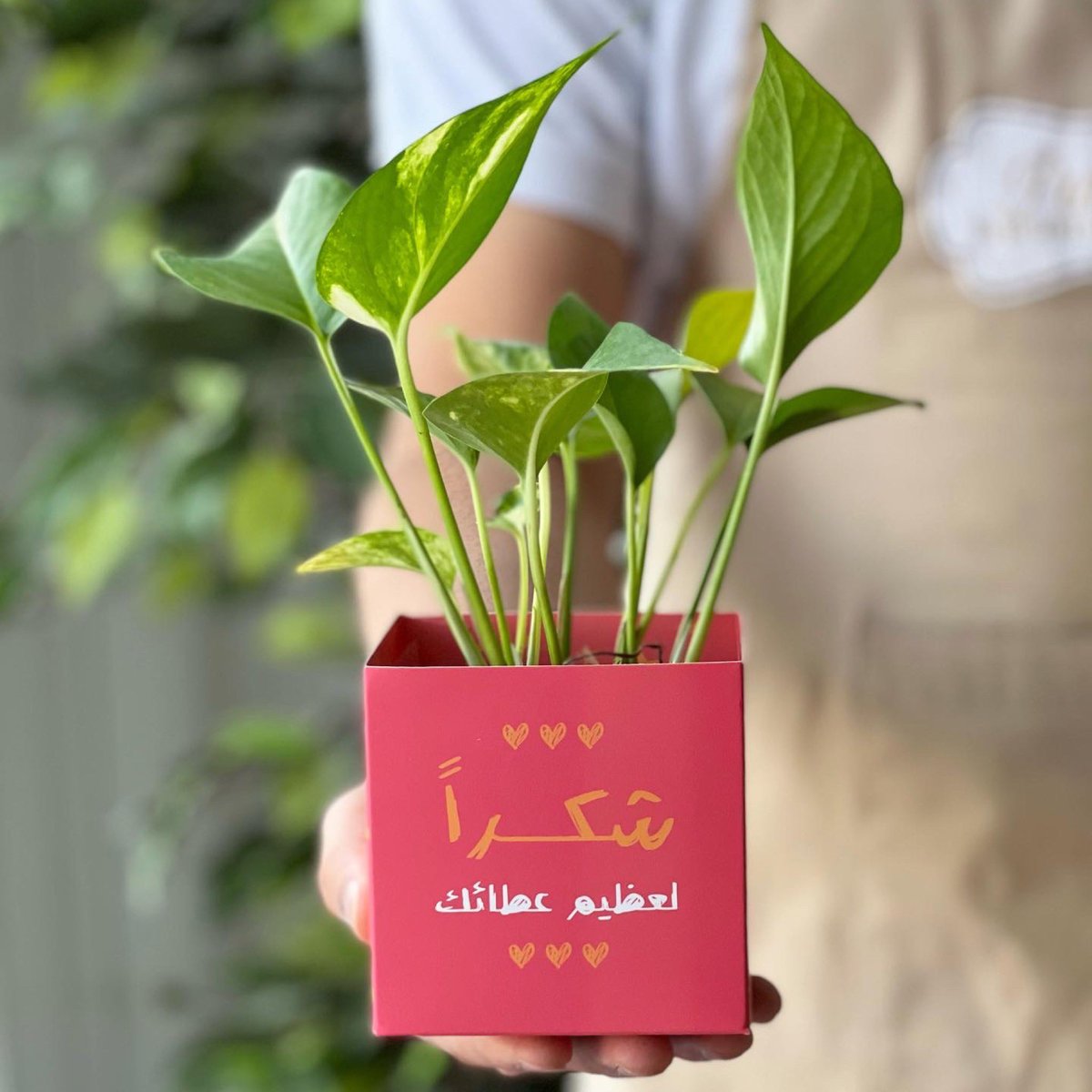 patterns_sa's tweet photo. شكرا معلمينا لعظيم عطائكم ❤️🪴#يوم_المعلم_العالمي #يوم_المعل�� #معلمي #معلمتي https://t.co/v58NMwEMmS