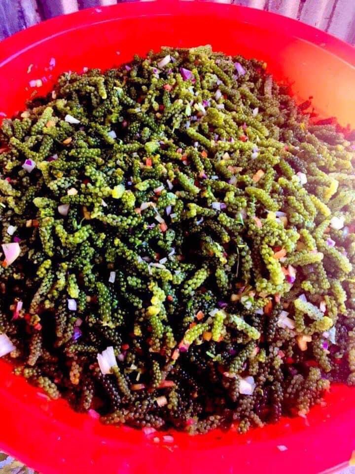 shakalaka_cheda's tweet photo. Next time you have ‘Nama’ add finely diced fresh pineapple. Thank me later! https://t.co/mHudJSAZS6