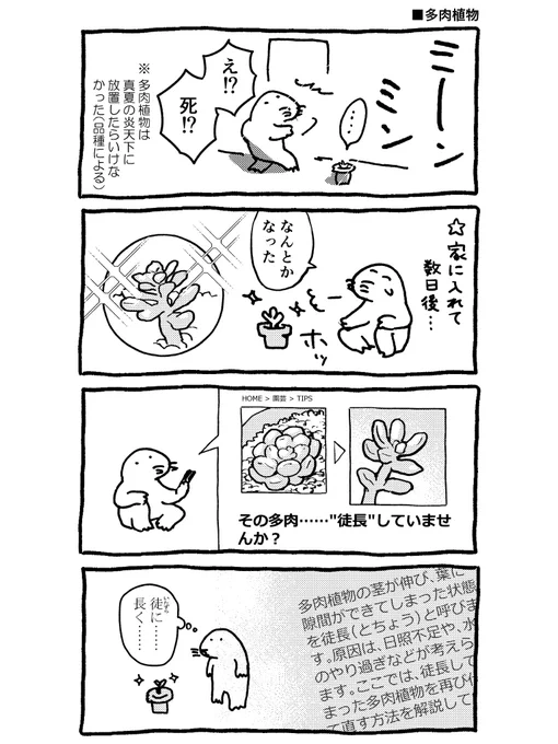 暮らすモグラの漫画 多肉植物 