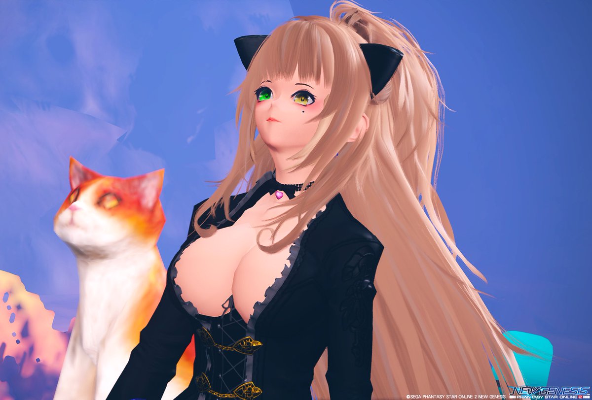 tihiro_f's tweet photo. ネコ、でっか(・∀・)
#PSO2NGS_SS https://t.co/ndgvArdxF1