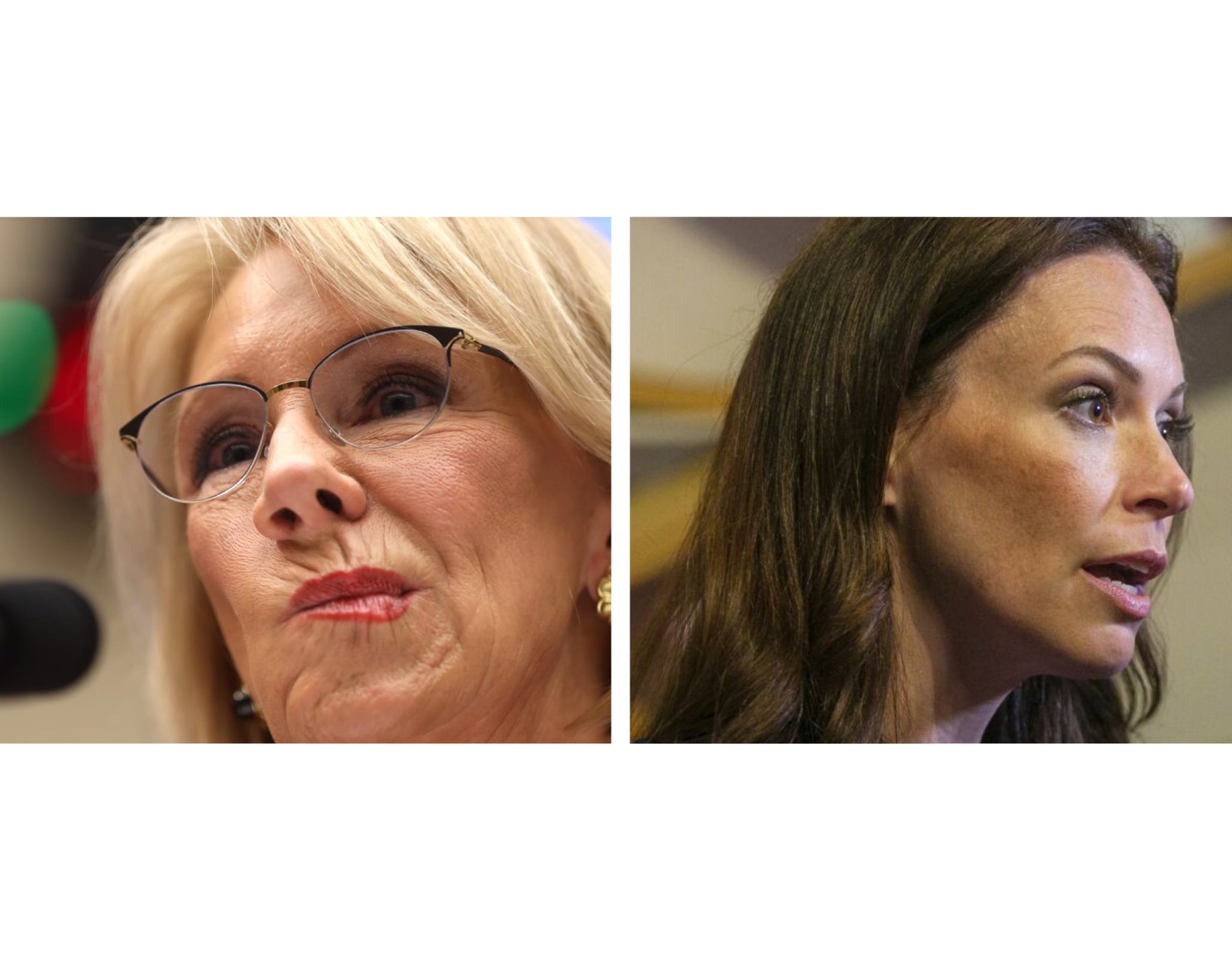 mystery-solvent-on-twitter-now-that-betsy-devos-owns-tudor-dixon