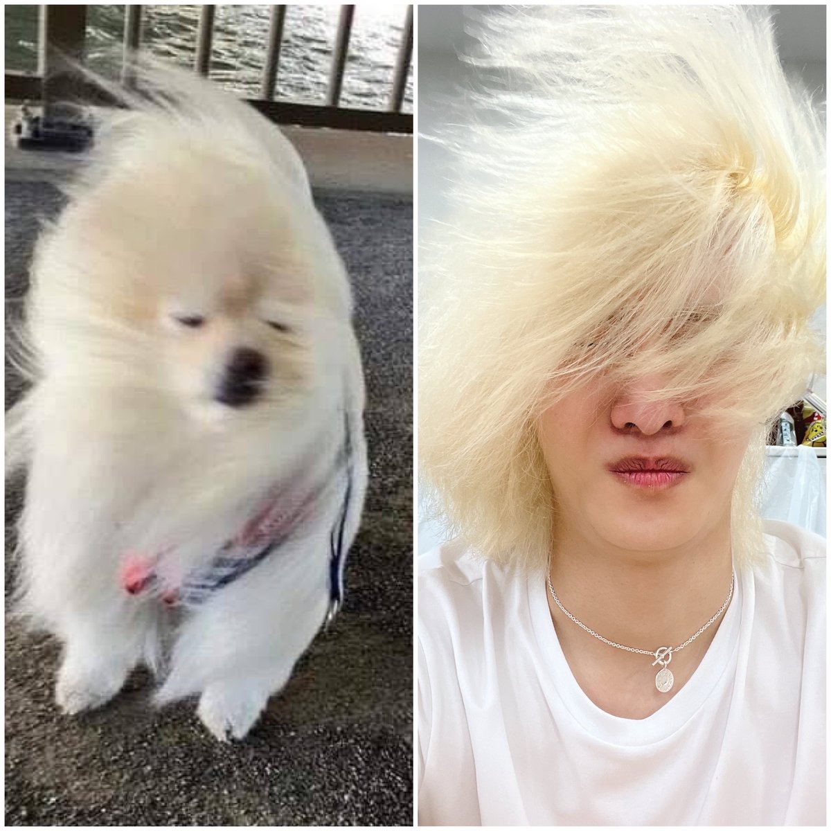 [221003] 🐰📸